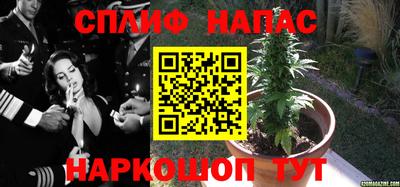 spice Пушкино