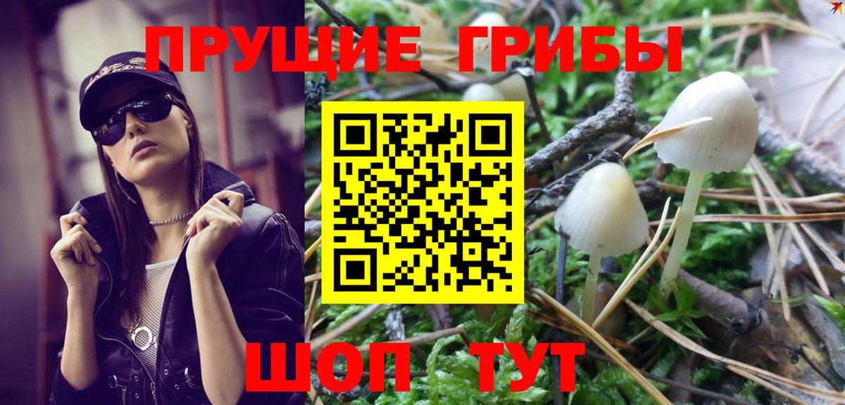 Галлюциногенные грибы Psilocybe Рузаевка